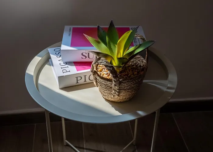 Attico Con Terrazzo Apartamento