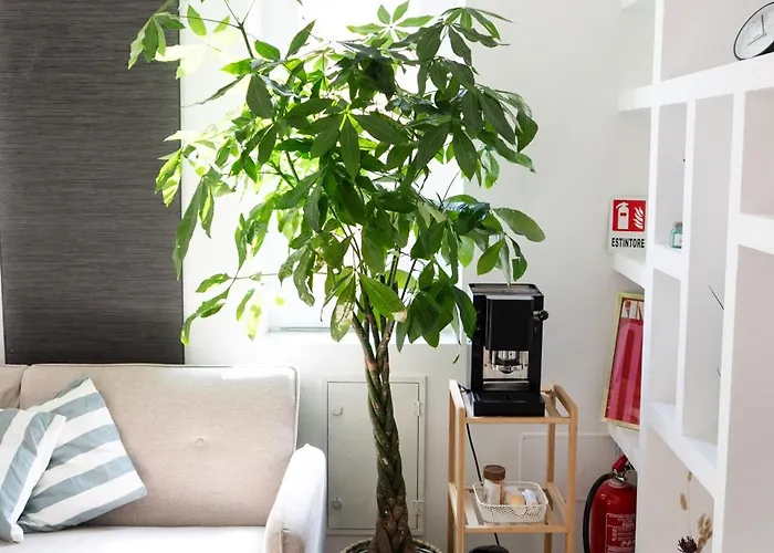 Attico Con Terrazzo